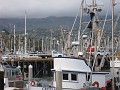 Carpinteria California 2010-02 0500